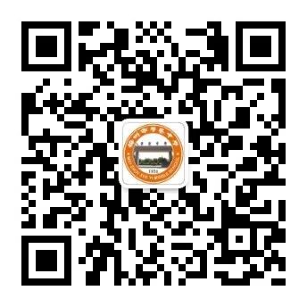 浏览器打开49图库