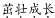 浏览器打开49图库