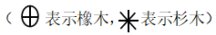 浏览器打开49图库