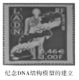 浏览器打开49图库