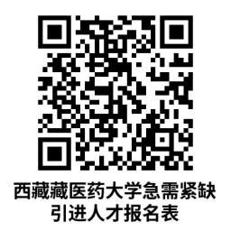 浏览器打开49图库