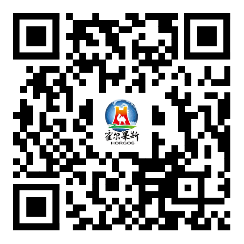 浏览器打开49图库