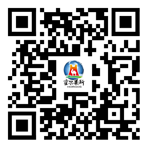 浏览器打开49图库