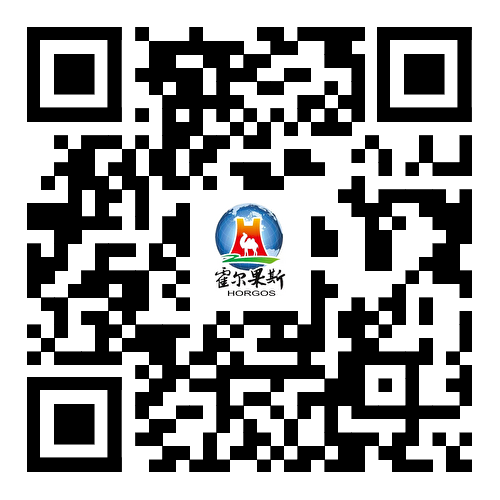 浏览器打开49图库