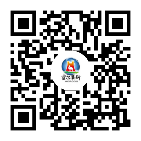 浏览器打开49图库