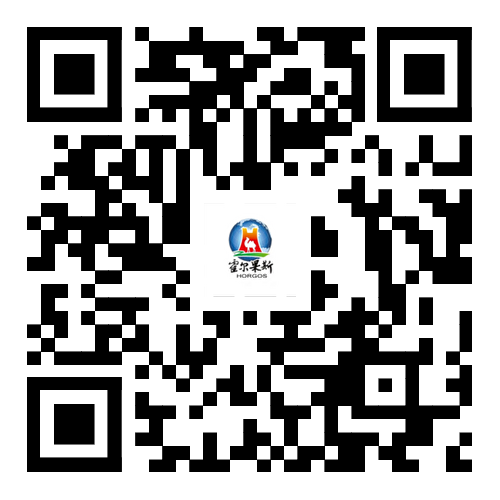 浏览器打开49图库