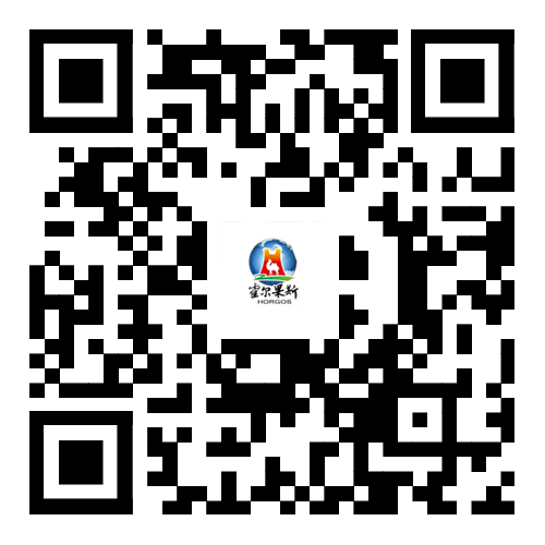 浏览器打开49图库